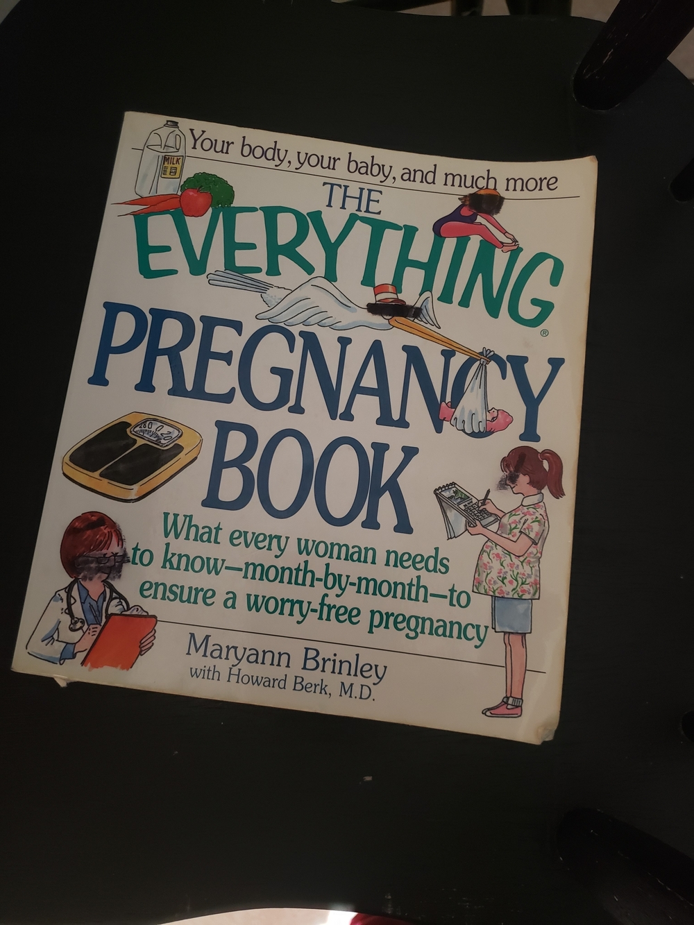 The Everything Pregnancy Book - White & Teal Cover